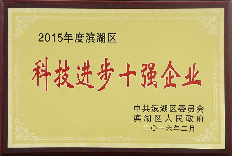 科技進步十強企業